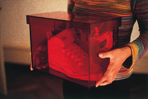 CHRISTOPHE LEGOUIX : LIGHTPROOF BOX, PALAIS DE TOKYO, PARIS 2002